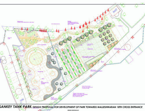 Sankey Re-Juvenation